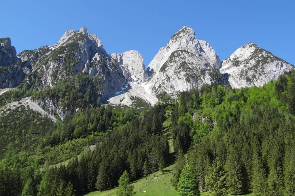 Das Almsternderl - Gemutliche Wohnung In Gosau Buitenkant foto