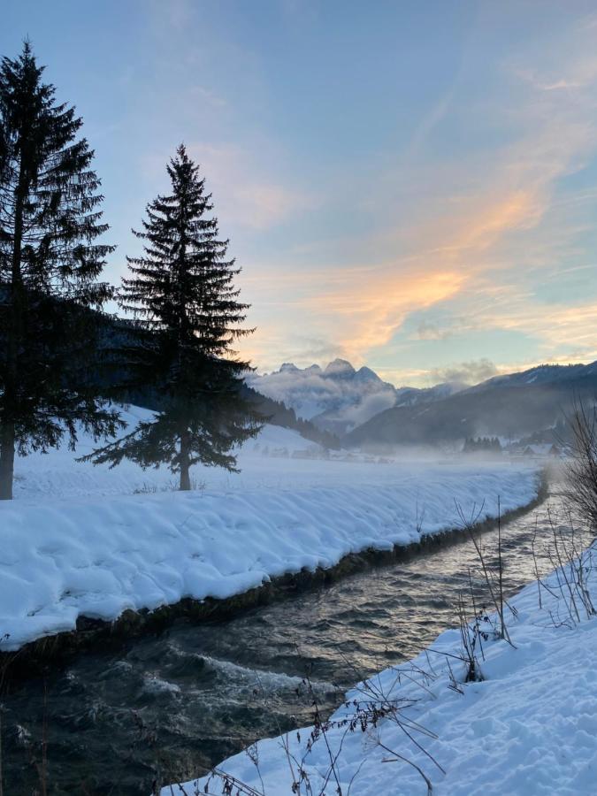 Das Almsternderl - Gemutliche Wohnung In Gosau Buitenkant foto