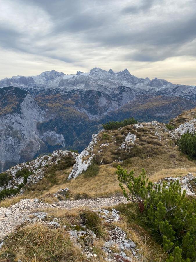 Das Almsternderl - Gemutliche Wohnung In Gosau Buitenkant foto