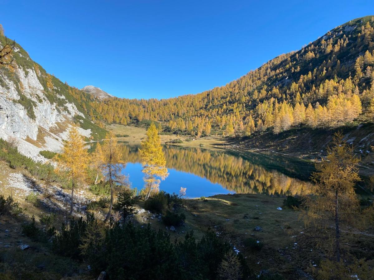 Das Almsternderl - Gemutliche Wohnung In Gosau Buitenkant foto