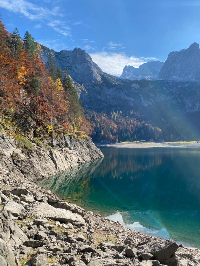 Das Almsternderl - Gemutliche Wohnung In Gosau Buitenkant foto