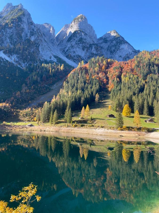 Das Almsternderl - Gemutliche Wohnung In Gosau Buitenkant foto