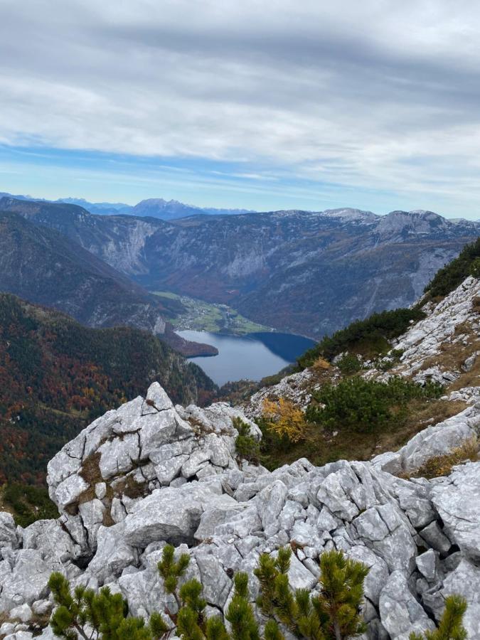 Das Almsternderl - Gemutliche Wohnung In Gosau Buitenkant foto