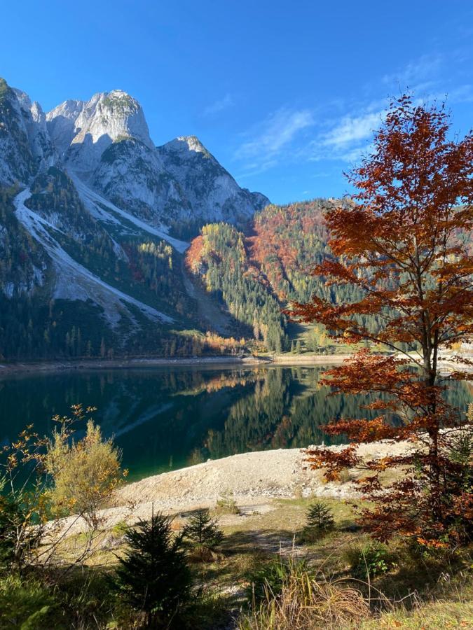 Das Almsternderl - Gemutliche Wohnung In Gosau Buitenkant foto